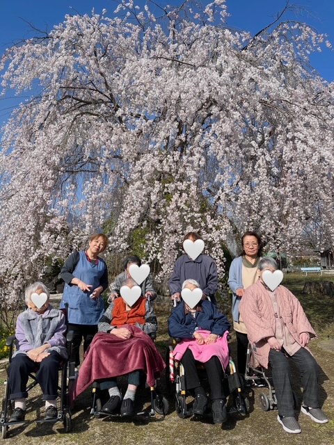 桜の下でお花見　スタッフと利用者様